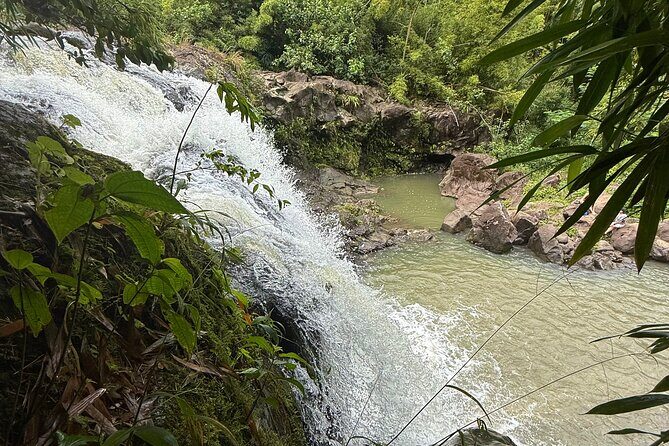 Private Instagram Tour of Maui - Who Is This Tour Best For?