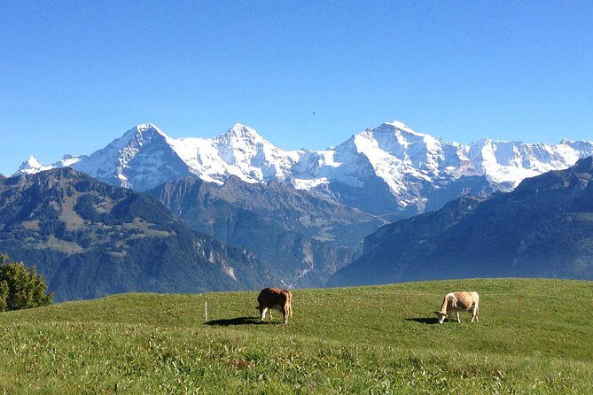 Private Interlaken and Jungfrau Region tour from Lucerne or Berne - Experience the Swiss Alps in Comfort and Style: Private Interlaken and Jungfrau Region Tour from Lucerne or Bern