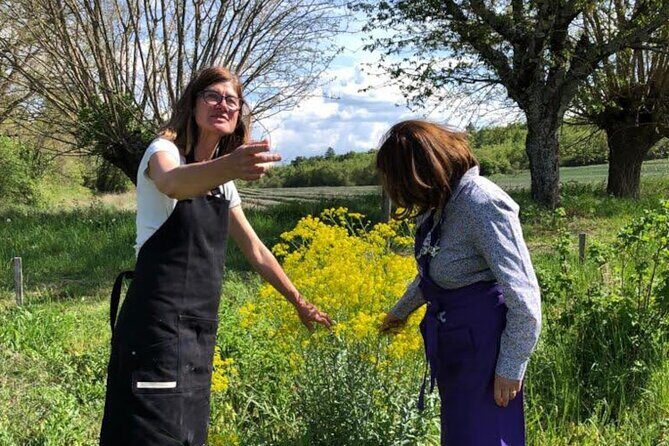Private Introduction to plant color in Forcalquier in Provence - Key Points