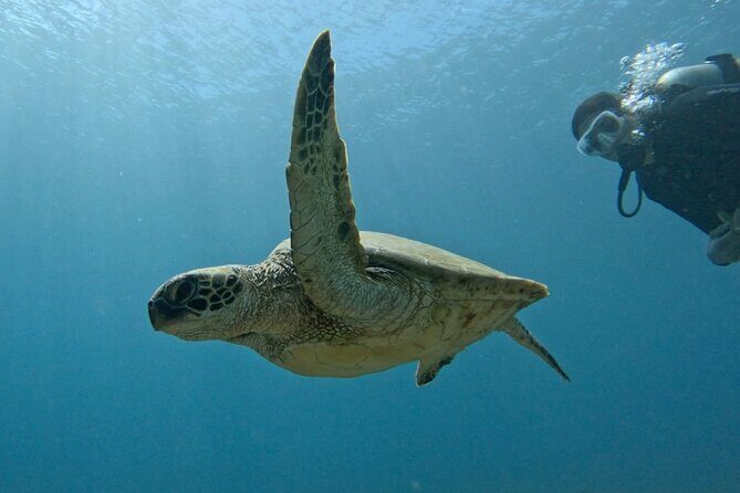 PRIVATE Introductory Discover Scuba Diving For Beginners - PRIVATE Introductory Discover Scuba Diving For Beginners