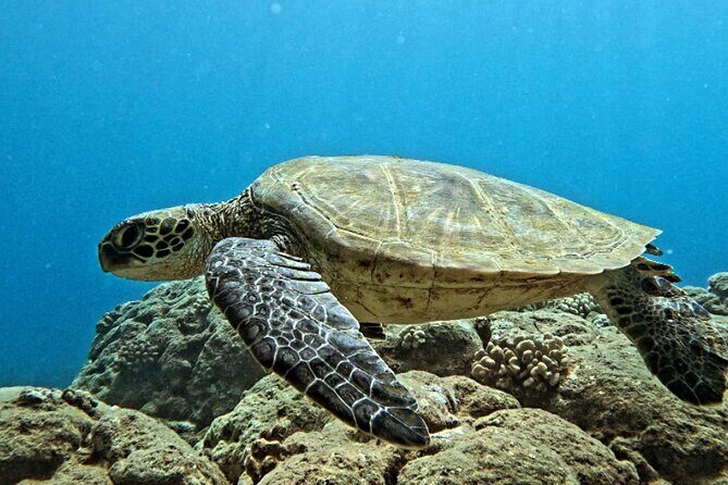 PRIVATE Introductory Discover Scuba Diving For Beginners - Key Points