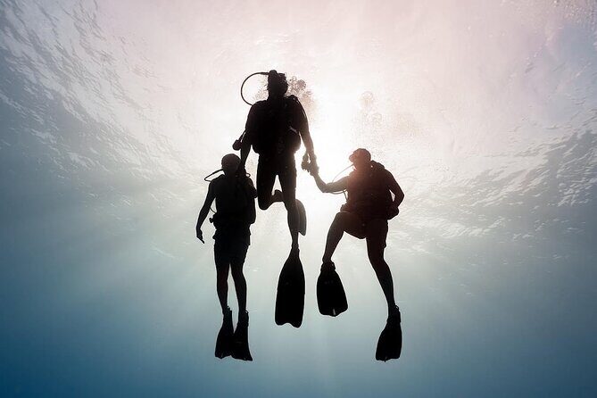 PRIVATE Introductory Discover Scuba Diving For Beginners - Who Is This Tour Best For?