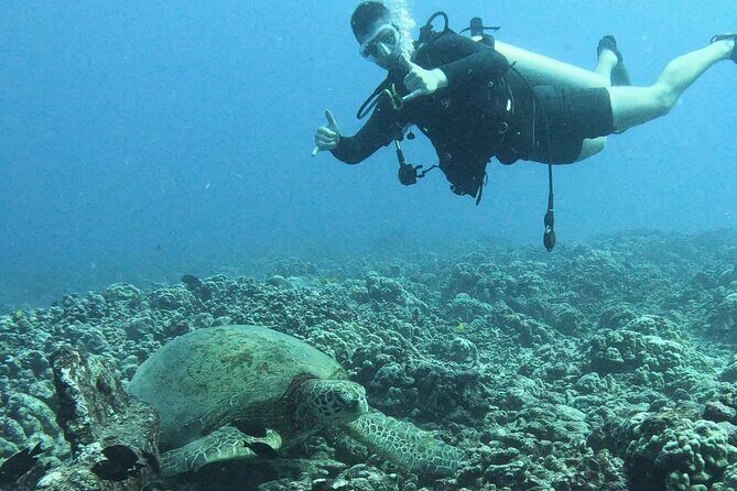 PRIVATE Introductory Discover Scuba Diving For Beginners - The Bottom Line