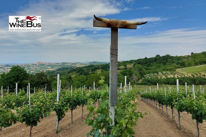 Private Irpinia Wine Tour from NAPLES with sommelier - FAQ