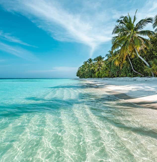 Private: Isla Saona VIP Escape Luxury Beach & Speedboat Tour - Discover the Private Isla Saona VIP Escape — a perfect blend of luxury, adventure, and authenticity