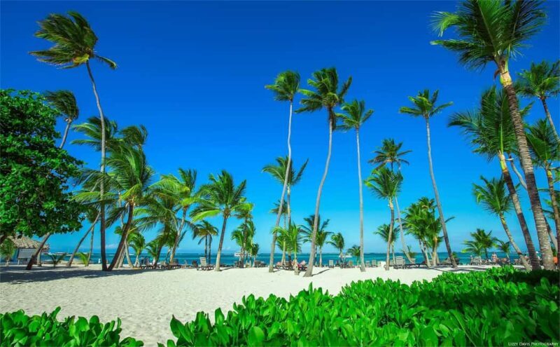 Private: Isla Saona VIP Escape Luxury Beach & Speedboat Tour - Who Would Love This Tour?