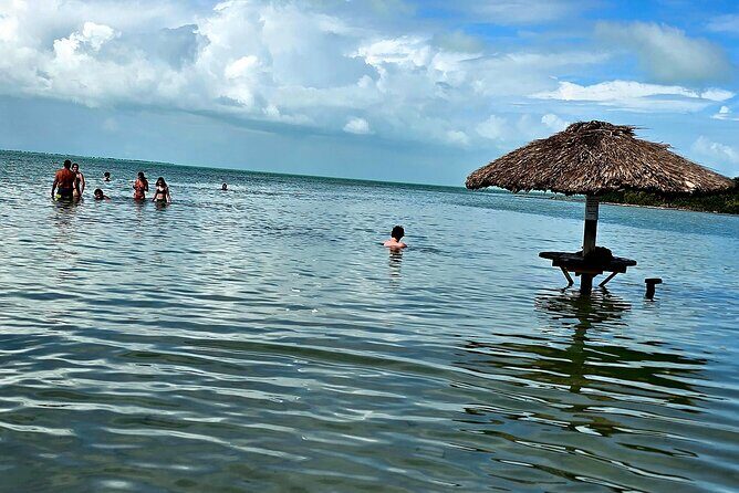 Private Island Experience for a Day with Options - The Experience in Detail: What to Expect