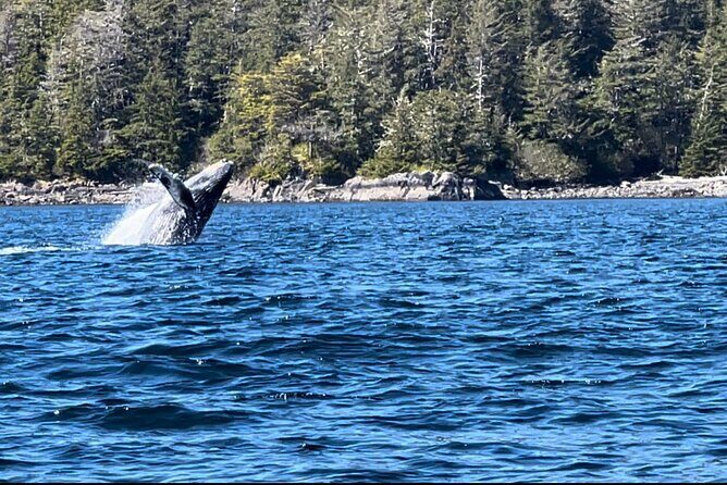 Private Island Experience in Sitka - A Genuine, Practical Look at the Private Island Adventure