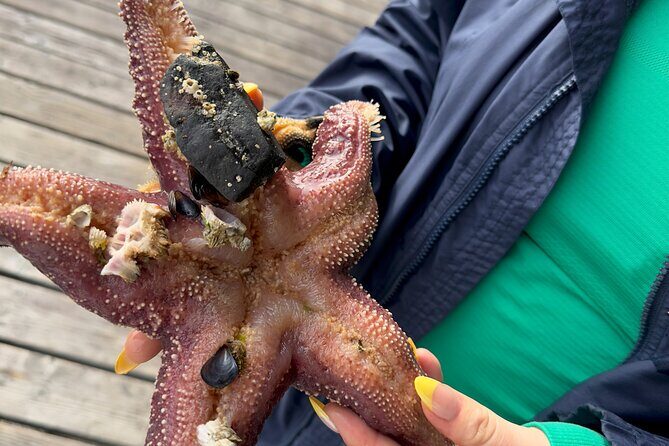 Private Island Experience in Sitka - FAQ