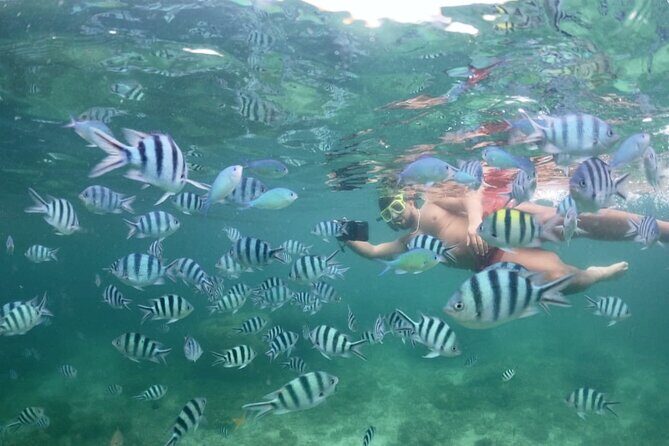 Private Island Hopping from Port Barton with Turtle Watching - Why You’ll Value This Tour