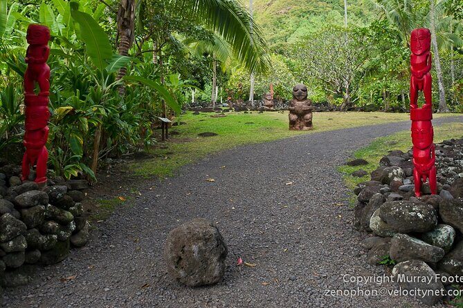 Private Island Tour ( 5 HOURS) - Key Points
