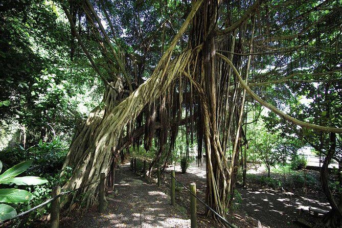Private Island Tour ( 5 HOURS) - Frequently Asked Questions