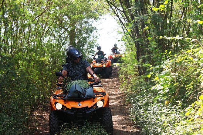 Private Island Tour by ATV / QUAD - Frequently Asked Questions