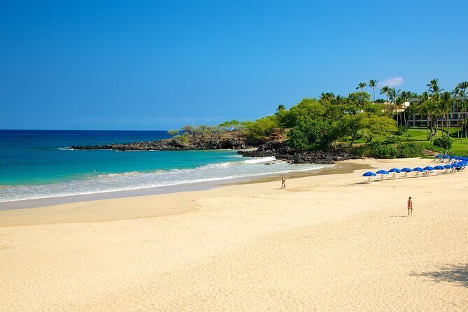 Private Island Tour in Hawaii with Pickup Included - The Comfort and Convenience of Private Transportation