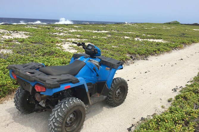 Private Island Tour in Hawaii with Pickup Included - The Sum Up