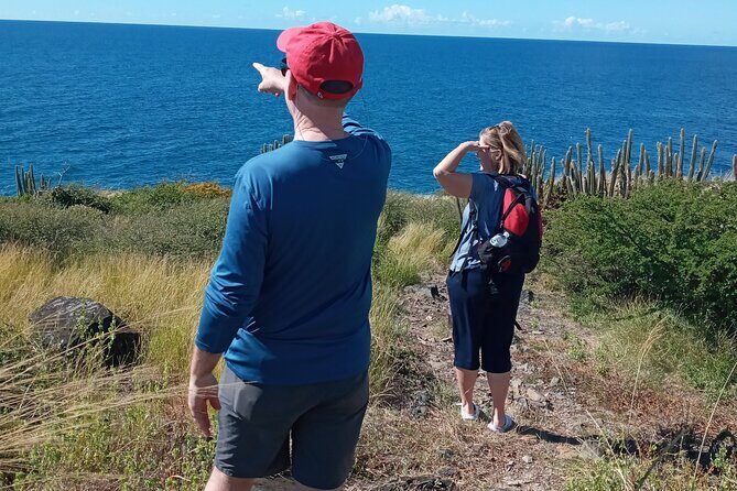 Private Island Tour in St. Maarten - Who Is This Tour Best For?