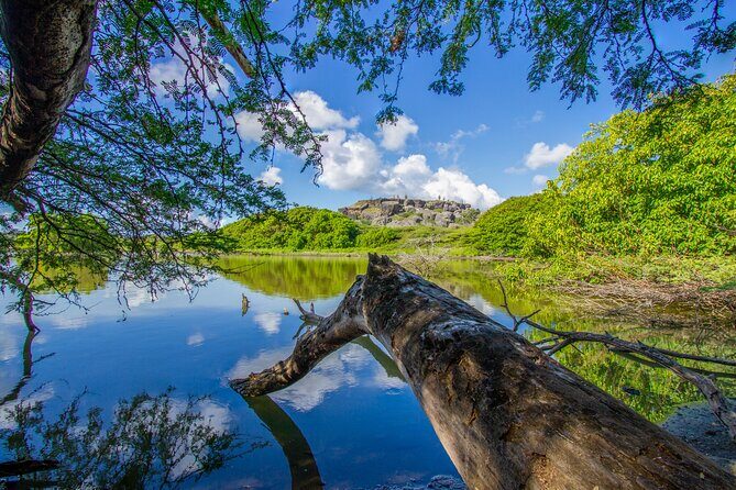 Private Island Tour with Photo Shoot Options Northern Tour - Key Points