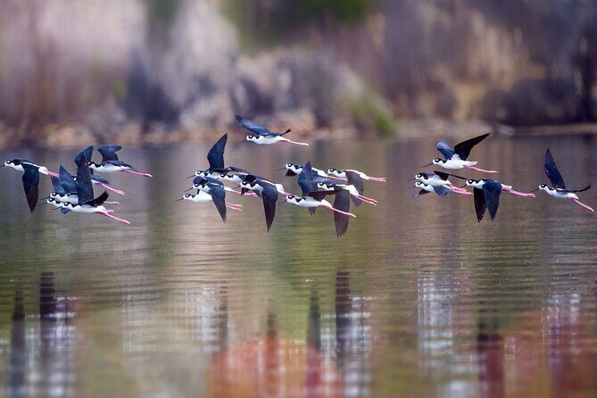 Private Island Tour with Photo Shoot Options Northern Tour - Frequently Asked Questions