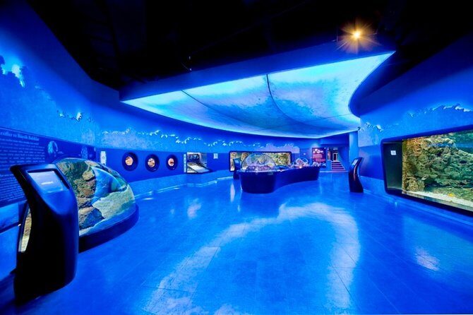 Private Istanbul full day daily or shopping tour - FAQ