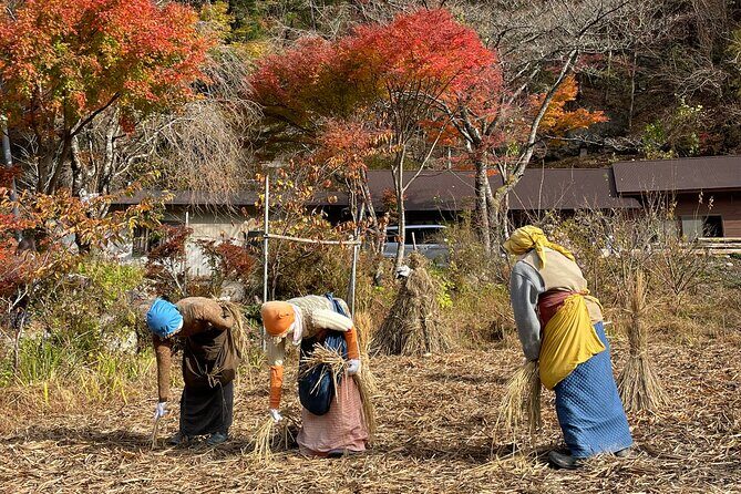 Private Iya Valley Half Day Tour - In-Depth Review of the Private Iya Valley Half Day Tour