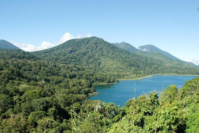 Private Jatiluwih Rice Terraces Heritage Site and Culture Tour - A Deep Dive into the Tour Experience