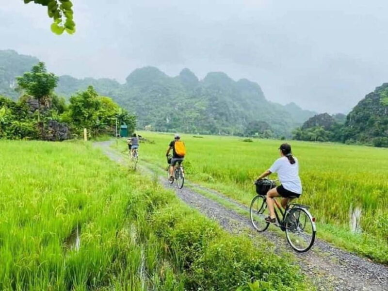 Private Jeep Ride & Cycling Tour: Hoa Lu, Trang An, Mua Cave - Practical Tips for Your Trip