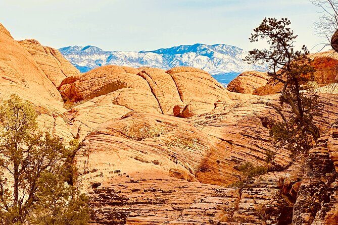 Private Jeep Ride to Explore Slot Canyons and Rock Formations - Who Should Consider This Tour?