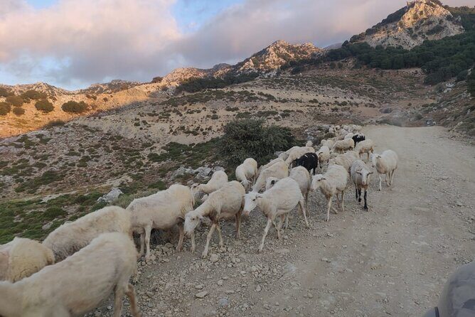 PRIVATE Jeep Safari 4x4 SUNSET with Dinner in Mountains CRETE - The Sum Up: Why This Tour is a Must-Do