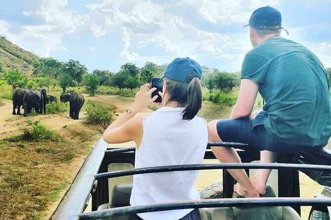 Private Jeep Safari at Minneriya National Park - Authentic Encounters and Trusted Guides