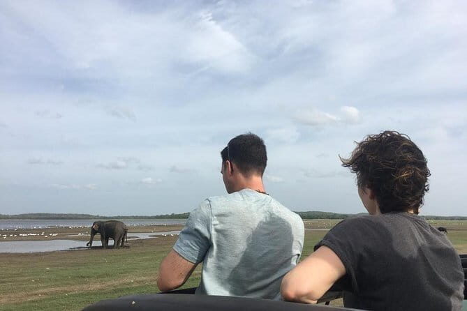 Private Jeep Safari at Minneriya National Park - Key Points