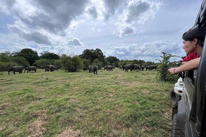 Private Jeep Safari at Minneriya National Parks - Frequently Asked Questions