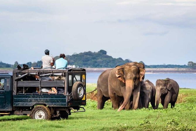 Private Jeep Safari To one of a Best National Park - Key Points