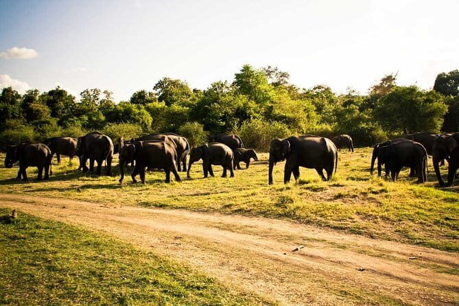 Private Jeep Safari To one of a Best National Park - Exploring the National Parks: What to Expect