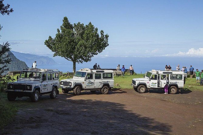 Private Jeep Safari Tour - Full Day - The Full-Day Jeep Safari: An In-Depth Look