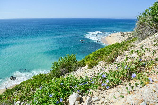 Private Jeep Tour Cabo Pulmo - The Sum Up: Is It Worth It?
