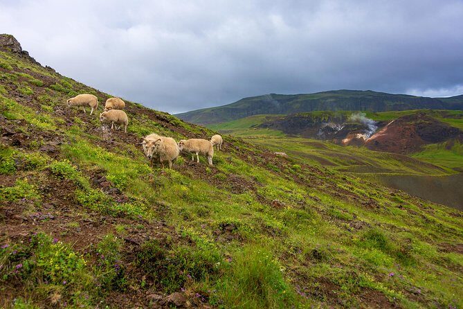 Private Jeep Tour - Game of Thrones experience - Authentic Experiences and Hidden Gems