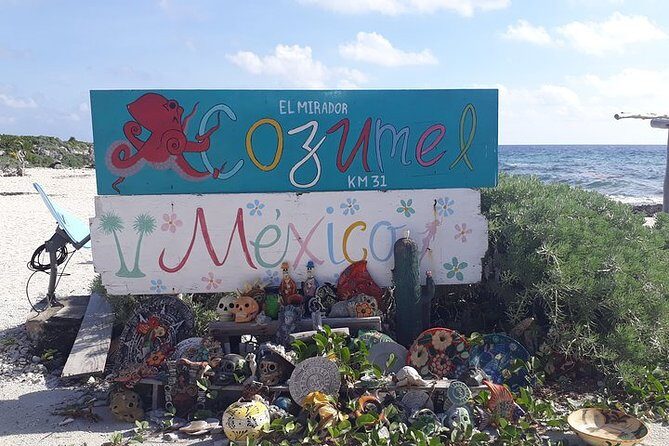 Private Jeep Tour in Cozumel - The Sum Up: Who Will Love This Tour?