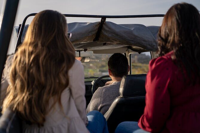Private Jeep Tour in Gozo (Full Day) - Diving Into the Details of the Full-Day Adventure