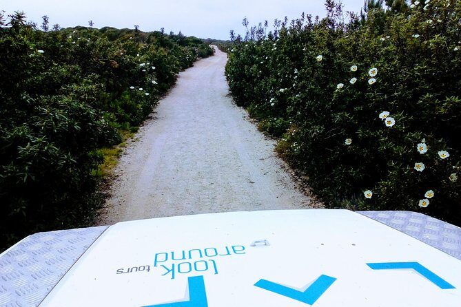 Private Jeep Tour to Espichel Cape & West Coast Wild Beaches - Who Should Consider This Tour?