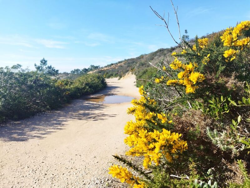 Private Jeep tour to Espichel Mysteries and Wild Beaches - In-Depth Look at the Private Jeep Tour to Espichel Mysteries and Wild Beaches