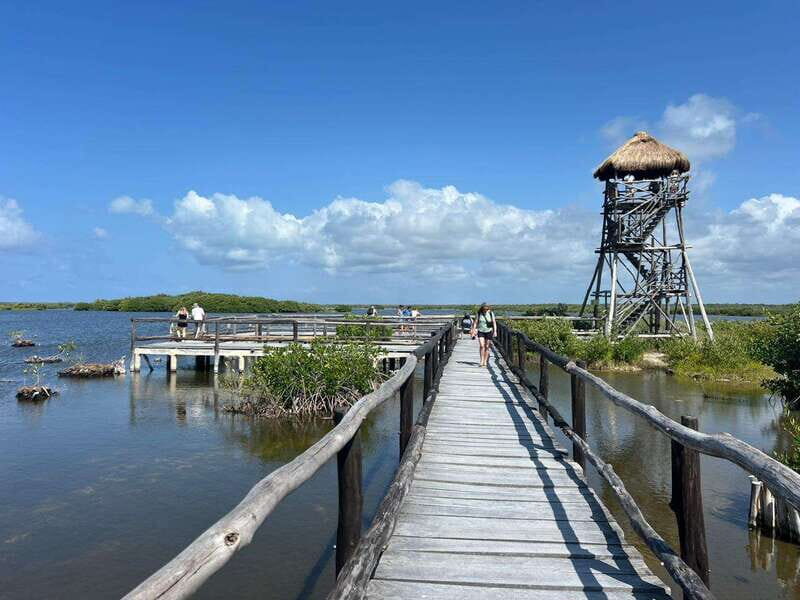 Private Jeep tour to Punta Sur park + snorkel + Lunch - Exploring Cozumel with a Private Jeep Tour: An Authentic Day on the Island