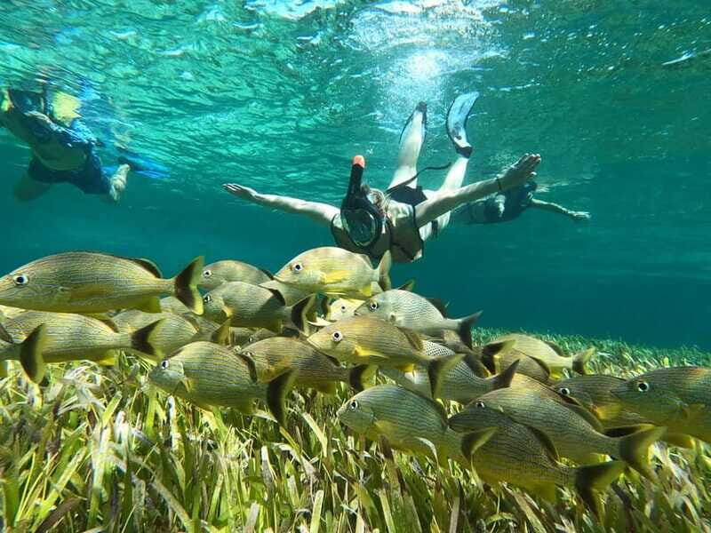 Private Jeep tour to Punta Sur park + snorkel + Lunch - FAQs