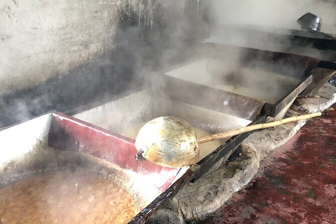 Private Jeep Tour to the Surroundings of San Agustín - Key Points