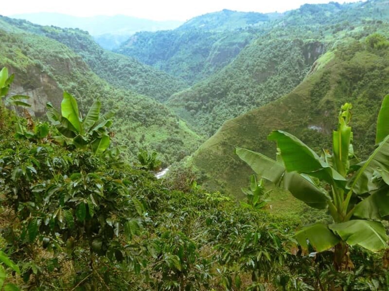 Private Jeep Tour to the Surroundings of San Agustín - An In-Depth Look at the Private Jeep Tour Around San Agustín