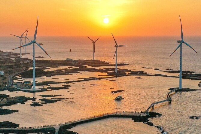 Private Jeju Geopark Gotjawal and Oreum Trekking Experience - Exploring Jeju’s Volcanoes and Natural Forests: A Full-Day Private Trekking Experience