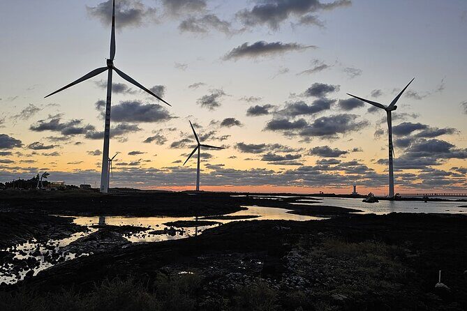 Private Jeju Geopark Gotjawal and Oreum Trekking Experience - Discovering Jeju’s Volcanic Origins and Natural Forests