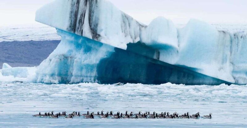 Private Jökulsárlón Glacier Lagoon Tour - Key Points