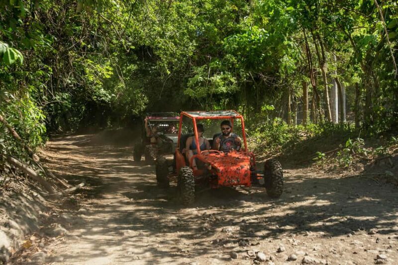 Private: Jungle Buggy Zipline Combo Adventure at La Hacienda - What to Know Before You Go
