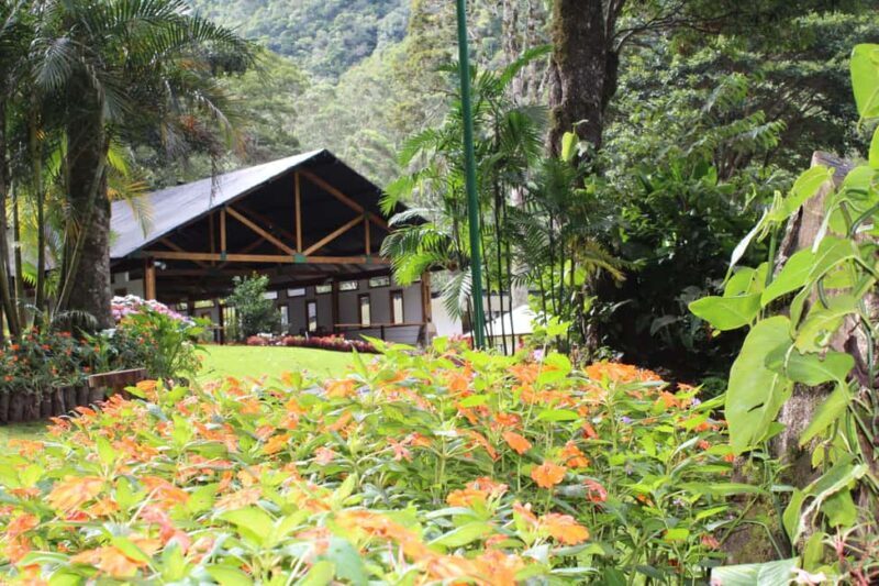 Private: Jungle Buggy Zipline Combo Adventure at La Hacienda - Who Should Consider This Tour?