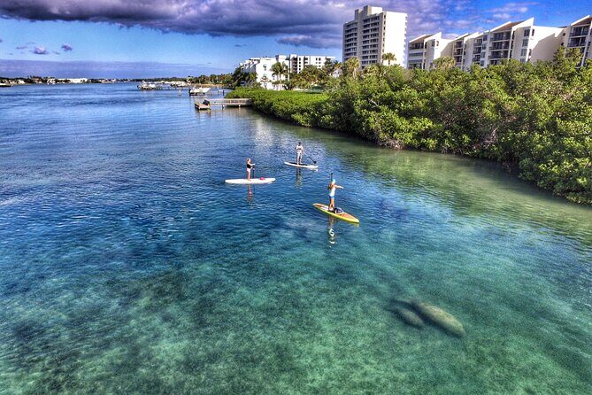Private Jupiter Island Guided Paddle Boarding Tour - Who Will Love This Tour?